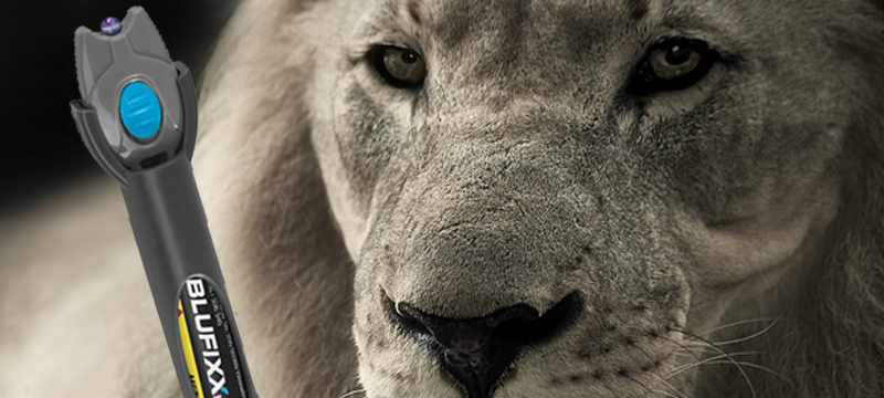Die Höhle der Löwen 2016: Produkt- und Vermarktungsschlacht